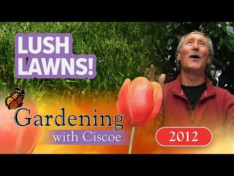 LUSH LAWNS! Get Great Grass the Organic Way! | Gardening With Ciscoe | Full Episode