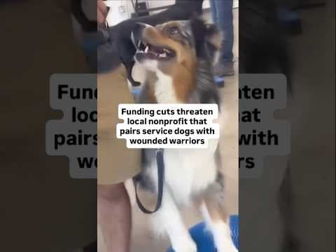 Funding cuts threaten local nonprofit that pairs service dogs with wounded warriors