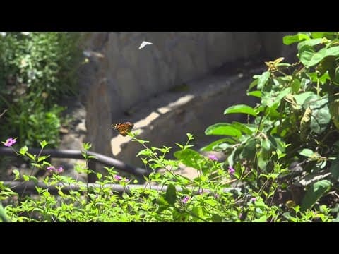 San Diego ranks low on list for 'most outdoor friendly' cities