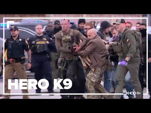 K-9 officer shot, injured during search for man who killed deputy in SW Houston