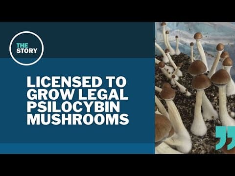 Multnomah County woman becomes the first person licensed to produce psilocybin in Oregon