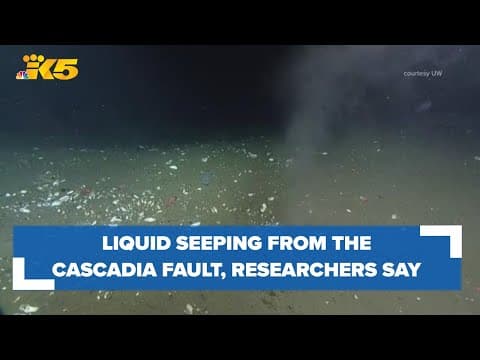 Warm liquid is seeping from the Cascadia Fault, researchers say