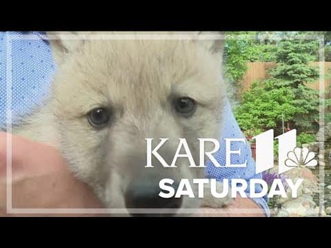 See wildlife of the world at Safari North close to Brainerd