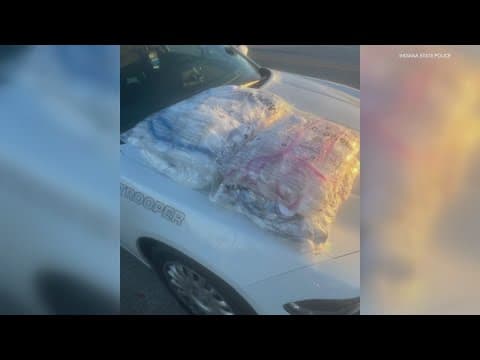 Over 110 pounds of methamphetamine seized near Indianapolis International Airport