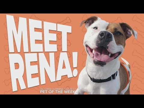 Pet Rescue of the Week: Rena