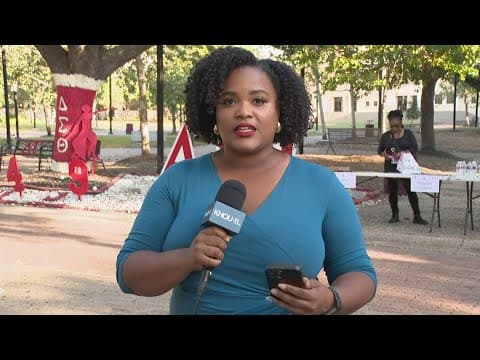 Election 2024: Sorority holds 'Stroll to the Polls' event at TSU