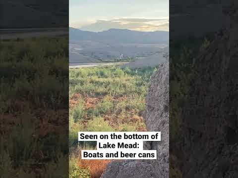 Things we saw on the bottom of #LakeMead: Boats and beer cans #shorts #kare11