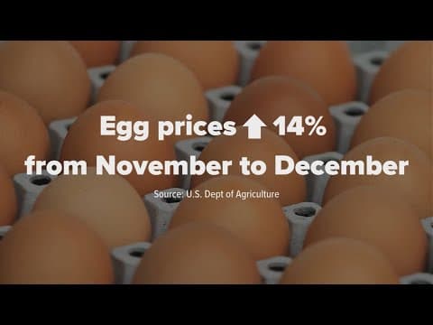 Egg prices continue to rise and cartons are selling out in North Texas grocery stores