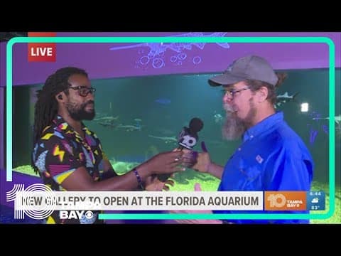 New gallery explores unique species at Florida Aquarium