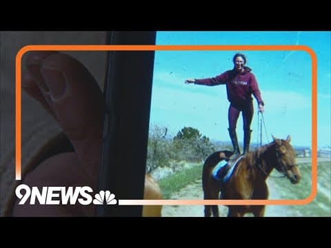 Horse dies after being hit by driver in Arvada