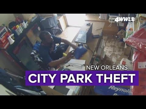 Thief makes off with $5,000 from City Park business