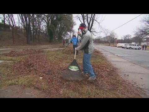 Doctors warn against fall allergies this year