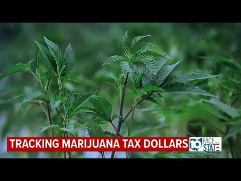 Face the State | August 4, 2024