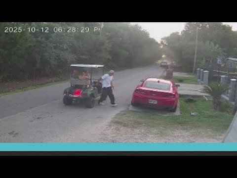 Neighbors jumped in to save neighbor who was being mauled to death by his own dogs