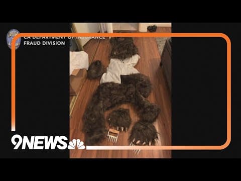 4 people facing charges for bizarre insurance fraud