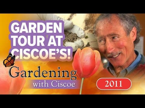 Garden tour at Ciscoe’s house | Gardening with Ciscoe | Full episode