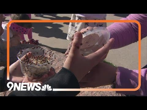 Colorado preschool releases 6,000 ladybugs in Earth Day celebration