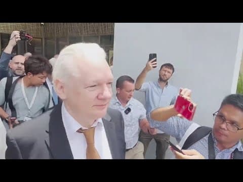 WikiLeaks founder free after guilty plea