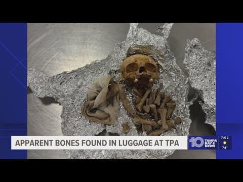 Apparent human remains, including 'part of a skull,' found in luggage at Tampa airport, CBP says