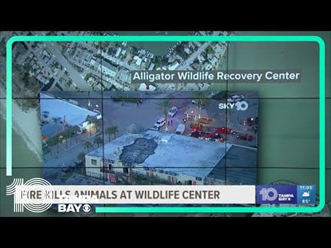 Devastating fire kills animals at wildlife center, damages neighboring businesses