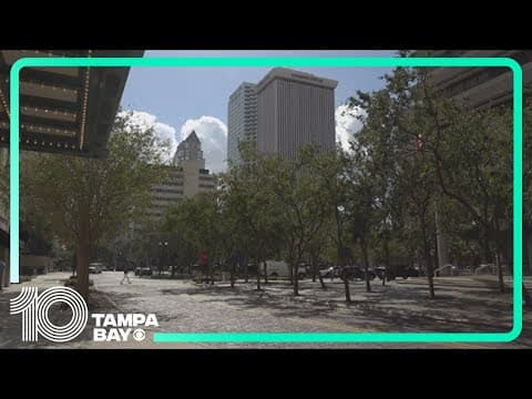 Tampa City Council to decide on multi-million dollar investment to transform Franklin Street
