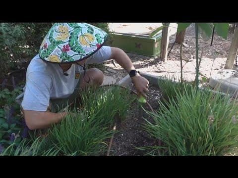 Encinitas gardening company makes developing a green thumb easier with tool rentals