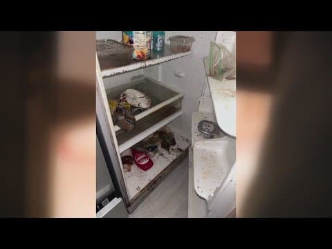 Woman asks for help with gross, potentially dangerous living conditions