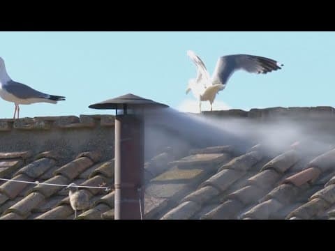 The moment white smoke started pouring from the Sistine Chapel chimney