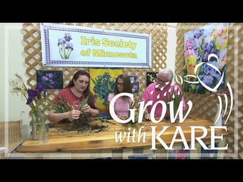 Grow with KARE: MN Horticultural Society iris demonstrations
