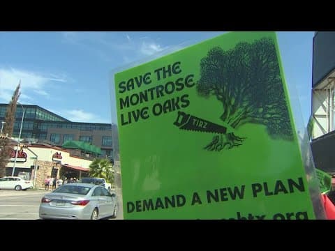 Battle continues in Montrose over project that would impact trees in the area
