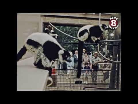 San Diego Zoo crowds 1967