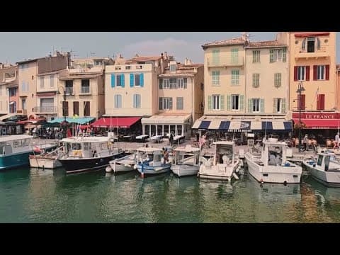 Discover the lure of lavender in the south of France| Journey to Paris