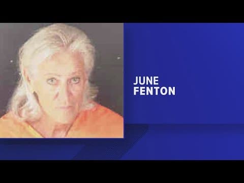 Elderly woman arrested after hit-and-run crash kills 2 young kids, critically injures mom