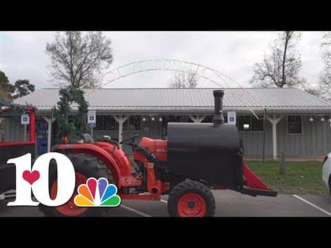 Festival of Lights at Cove Park to bring festive display all month long