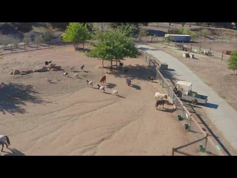 Preserving animal sanctuaries | CBS 8 Mornings