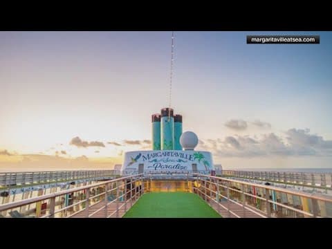 Take your dog on a cruise with the newest Margaritaville ship