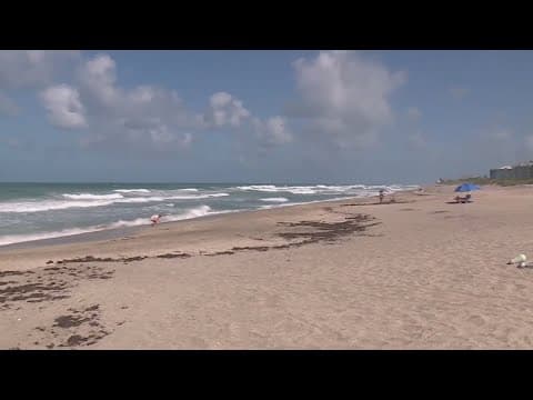8 people dead after falling victim to rip currents in Florida