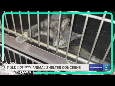 Polk Animal Shelter pictures show animals overheating