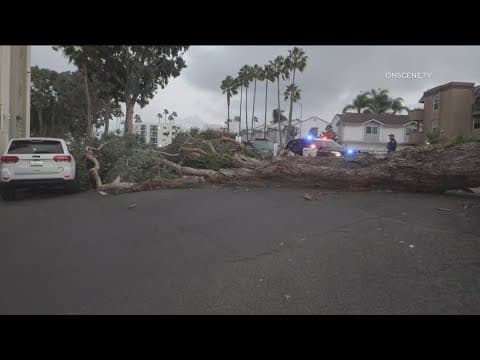 Weather Impact Alert | Wind, rain, high surf for San Diego County