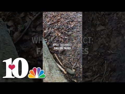 10Explores: Twin Creeks Trail to the Bud Ogle Cabin