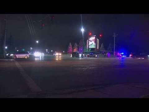 Wildlights crowds cause traffic delays at Columbus Zoo