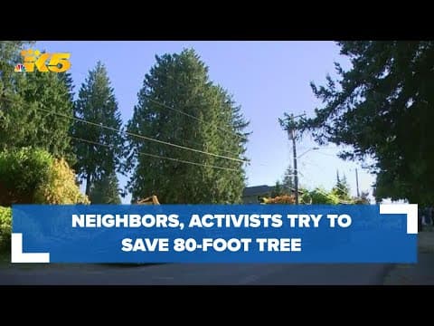 Wedgewood neighbors, activists upset as decades old Western Redcedar set to be cut down to build hom