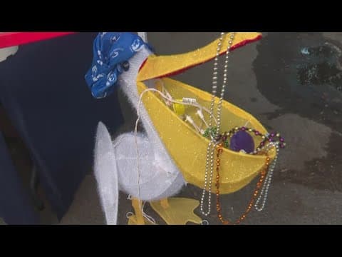 Volunteers descend on Bayshore Boulevard to clean up mess from this year's Gasparilla festivities