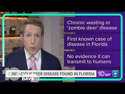 Contagious deer disease found in Florida
