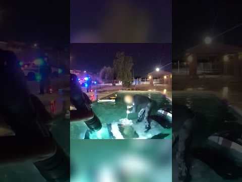 Police save man drowning in car crashed in pool