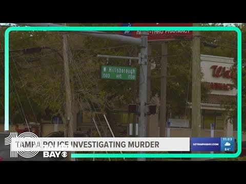 Man found dead on Hillsborough Avenue; Tampa police investigating