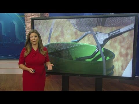 Working For Our Planet | Pick up the trash around you