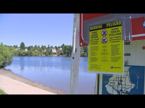 Green Lake closed due to toxic algae
