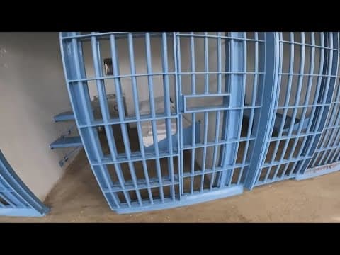 Judge to hear case of juveniles being held in Angola