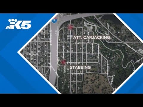 Seattle police looking for two carjacking suspects